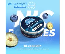 Hayati Nicotine Pouches-Blueberry-12mg